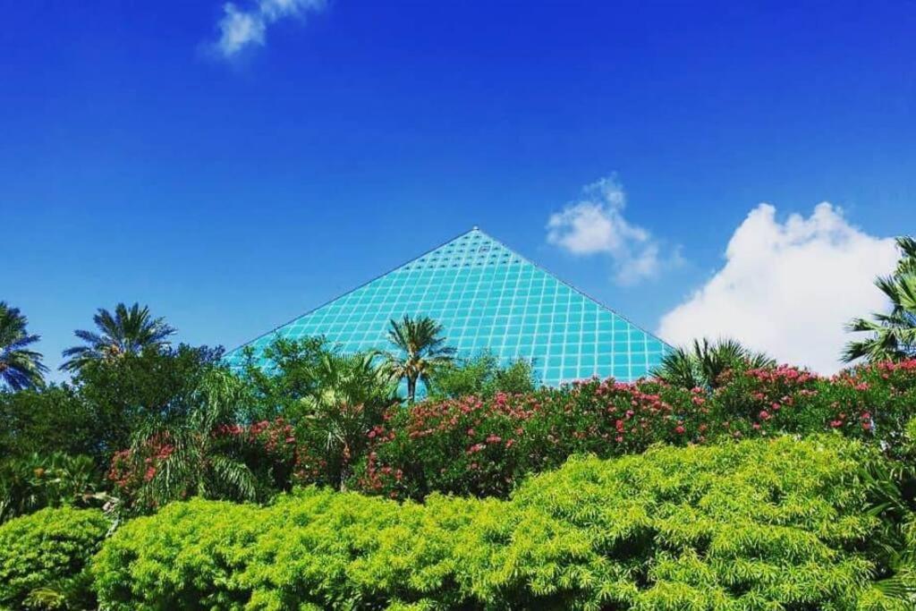The Q Loft Galveston Villa Ngoại thất bức ảnh